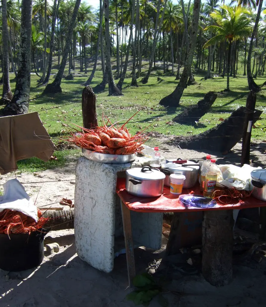 Fantastic lobster lunch in the makeshift beachside kitchen