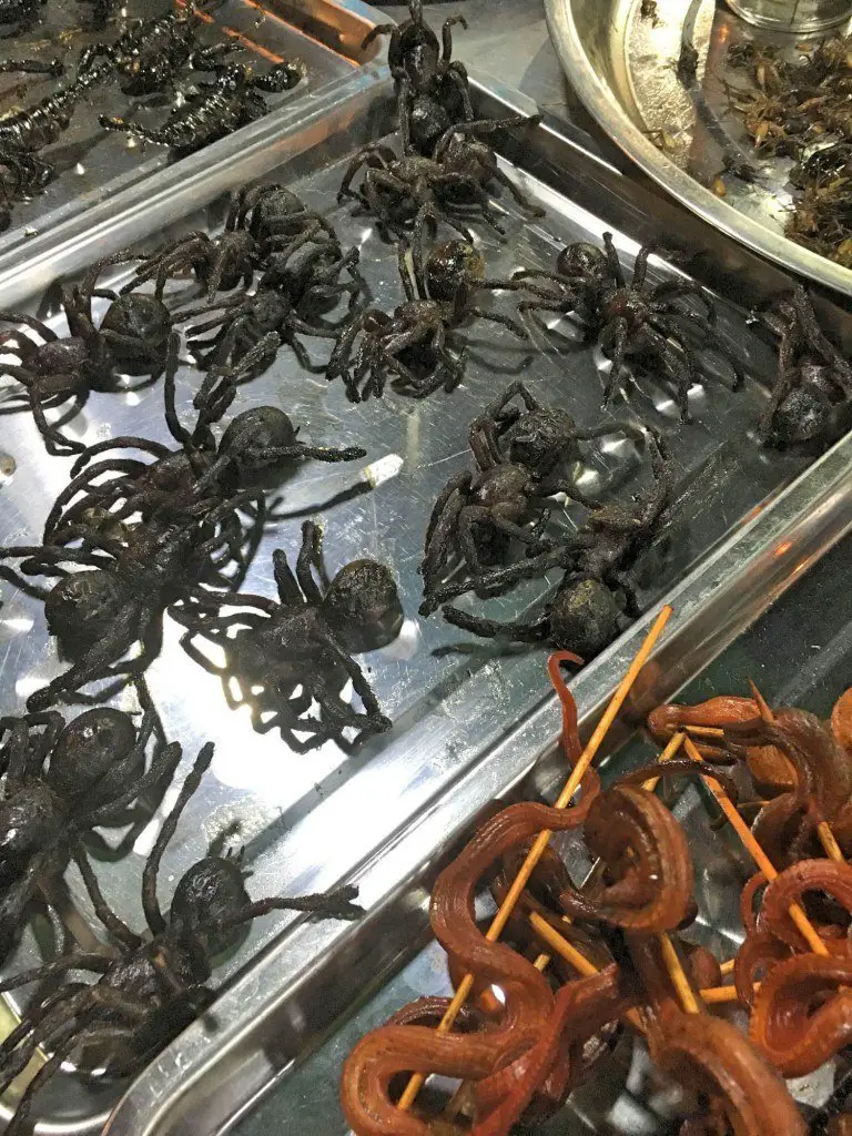 Insects for sale