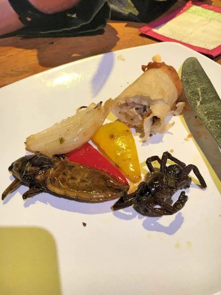 Crickets and ginormous water bug at the best insect restaurant in Siem Reap