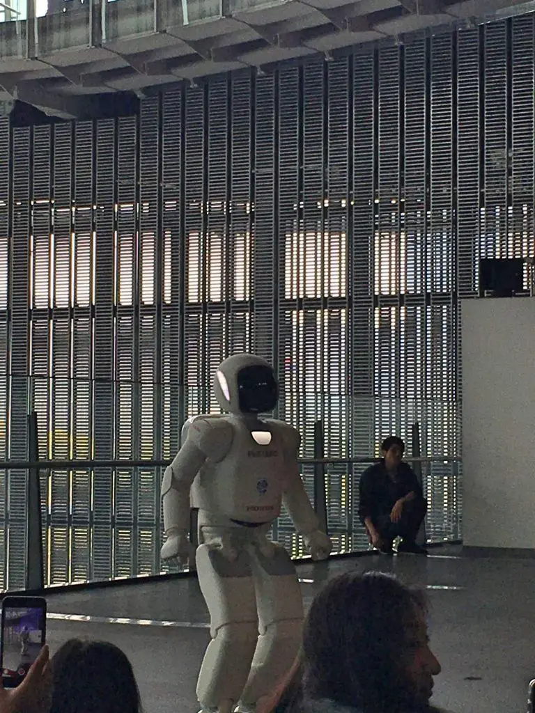 Robots in action!